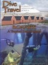 Bonaire a Tropical Desert Island